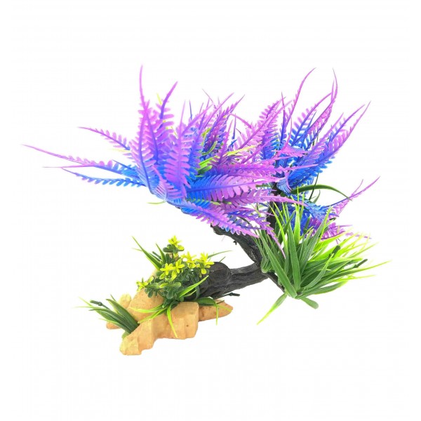 ΔΙΑΚΟΣΜΗΤΙΚΟ ΦΥΤΟ ΕΝΥΔΡΕΙΟΥ